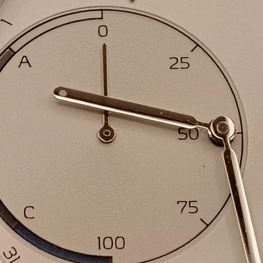 Skagen retro 2017